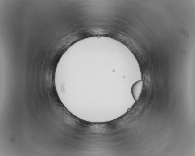 X0000110970422200907310933