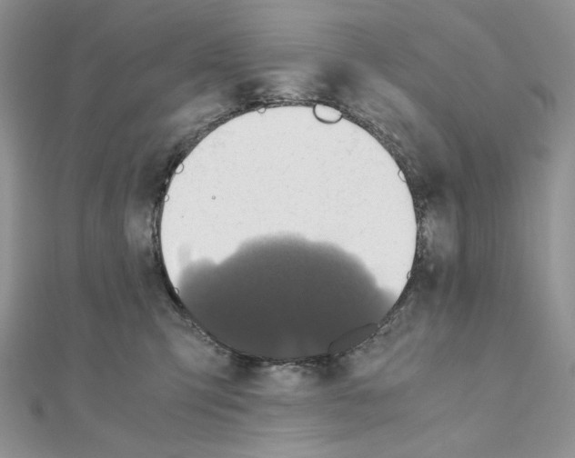 X0000110970423200907310933