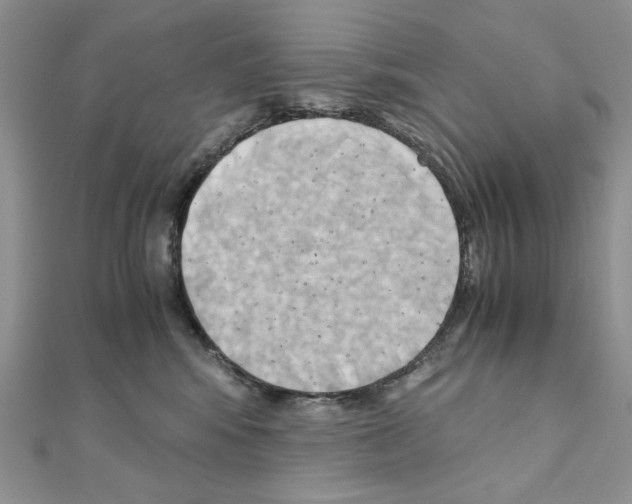 X0000110970424200907310933