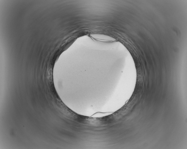 X0000110970425200907310933