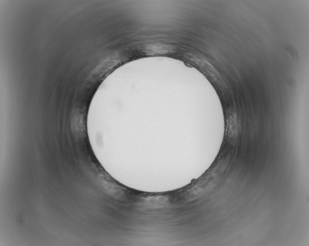 X0000110970426200907310933