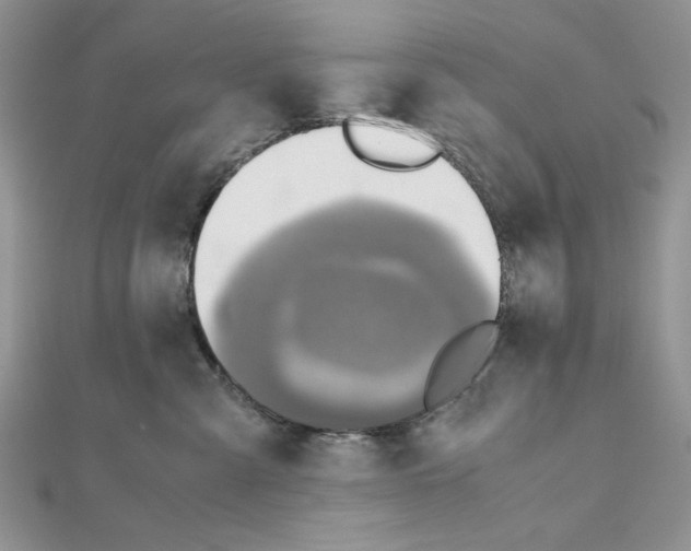 X0000110970427200907310933
