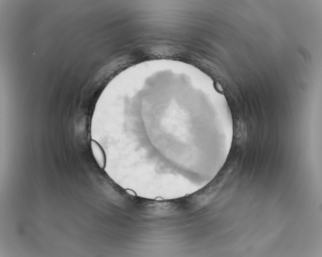 X0000110970428200907310933
