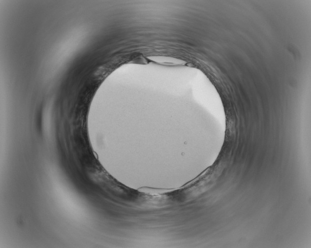 X0000110970429200907310933