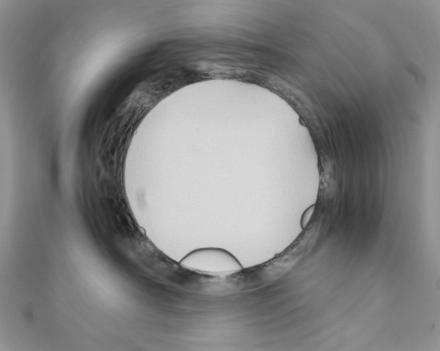X0000110970430200907310933