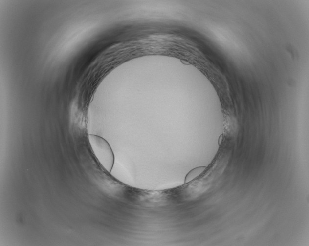 X0000110970431200907310933
