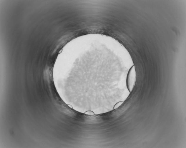 X0000110970432200907310933