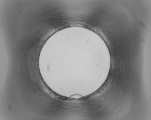 X0000110970433200907310932