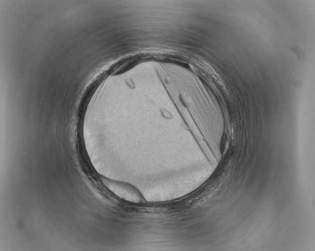 X0000110970436200907310932