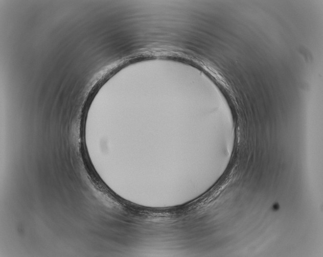X0000110970438200907310932