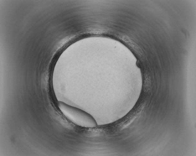X0000110970440200907310932