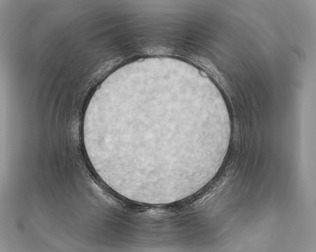 X0000110970441200907310932