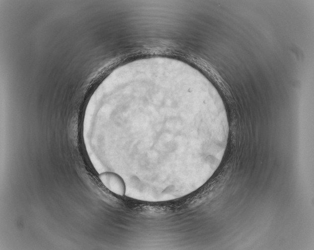 X0000110970442200907310932