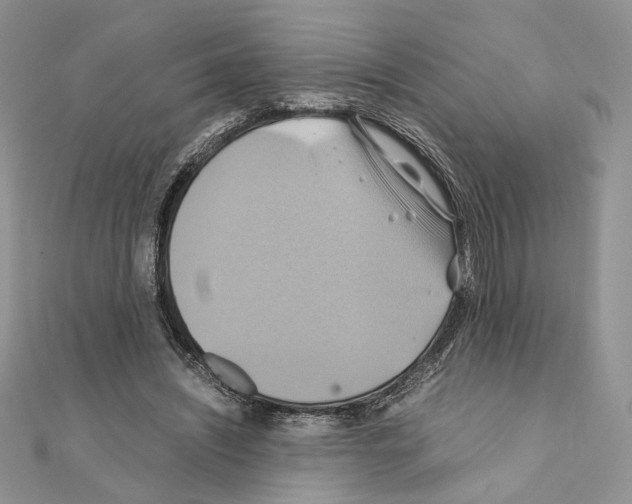 X0000110970444200907310932