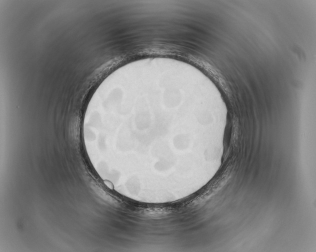 X0000110970445200907310932