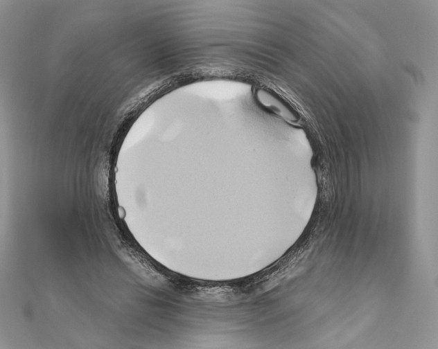 X0000110970446200907310932
