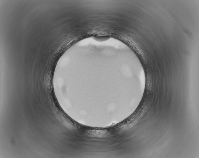X0000110970449200907310932