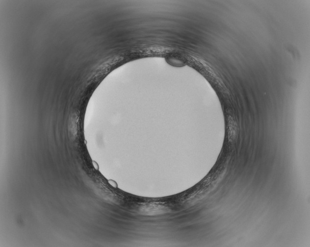 X0000110970451200907310932