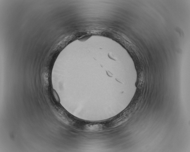 X0000110970452200907310932
