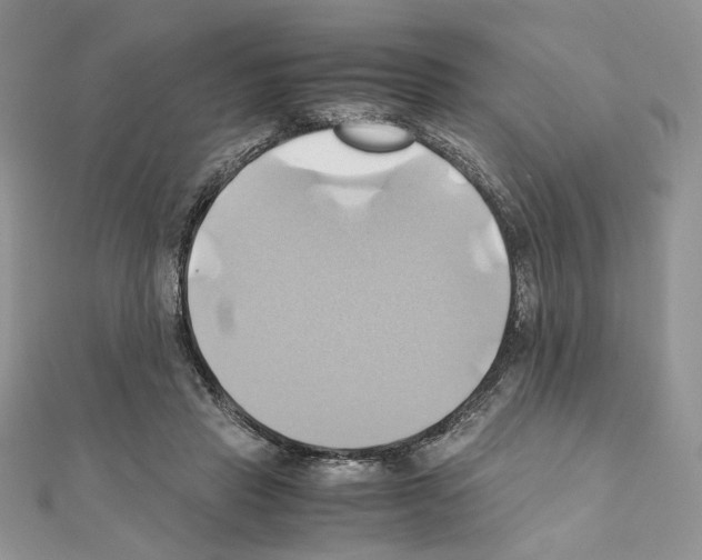 X0000110970453200907310932