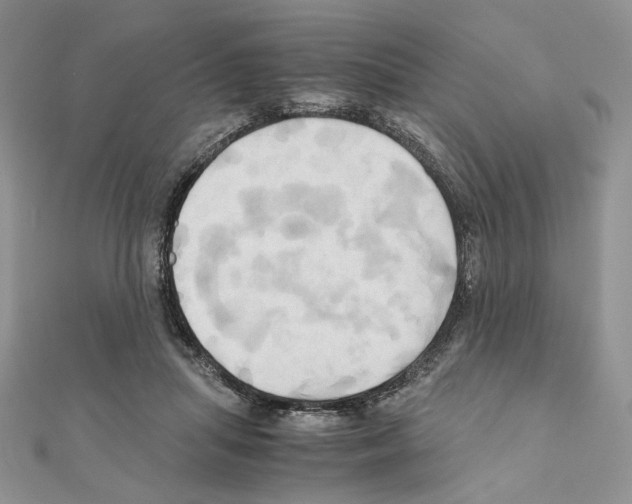 X0000110970455200907310932