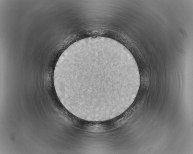 X0000110970460200907310932