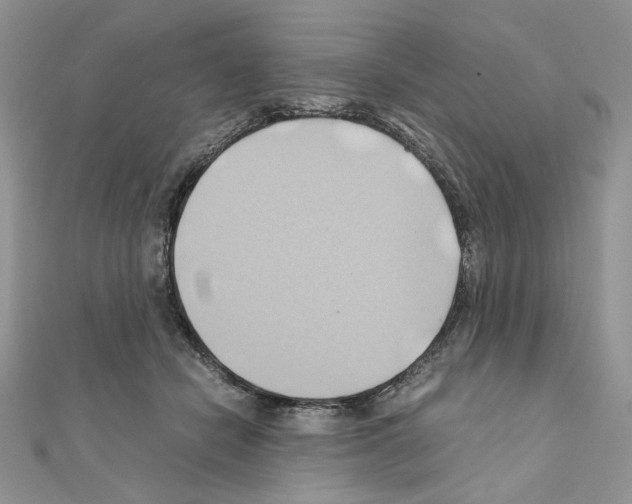 X0000110970462200907310933