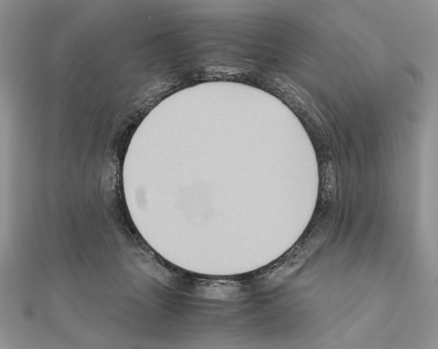 X0000110970463200907310933