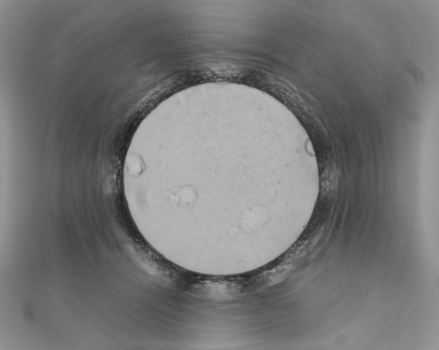 X0000110970464200907310933