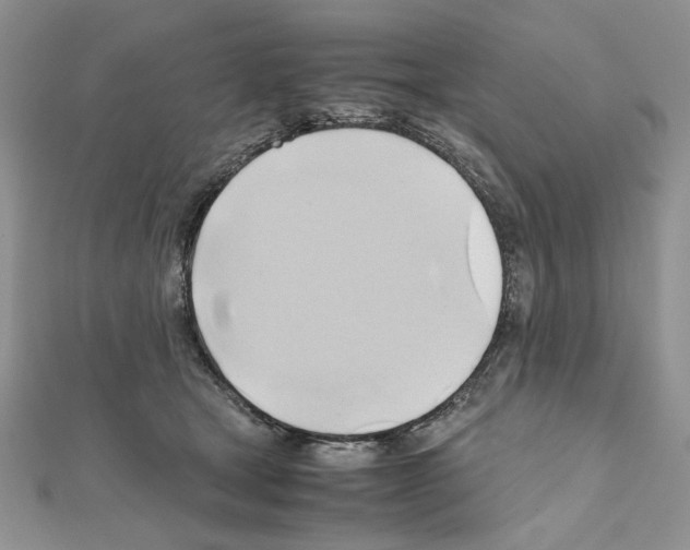 X0000110970465200907310933