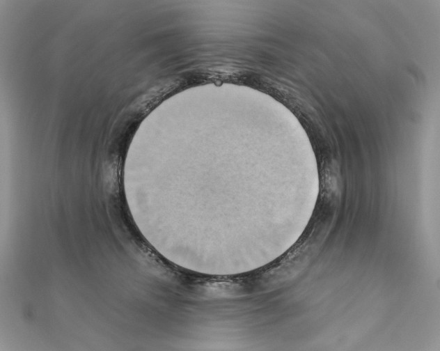 X0000110970468200907310933