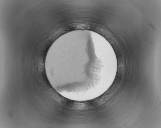 X0000110970469200907310933