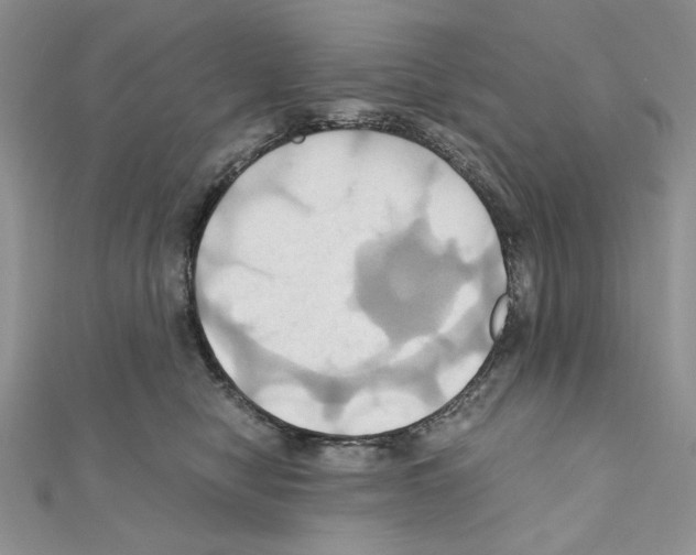 X0000110970470200907310933