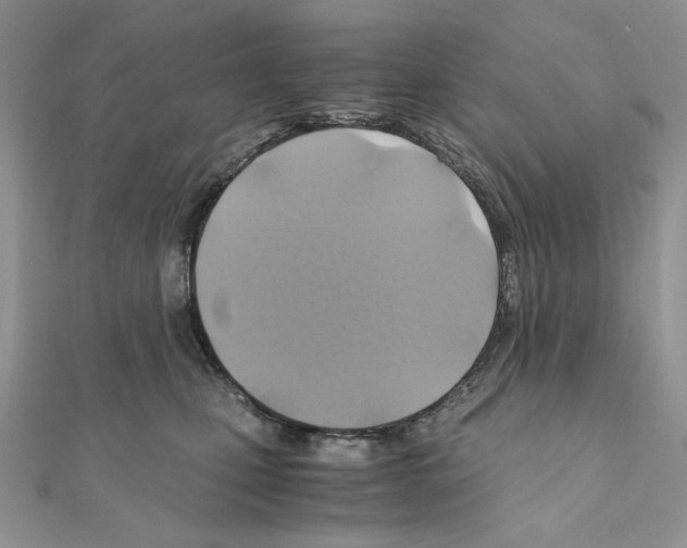 X0000110970471200907310933