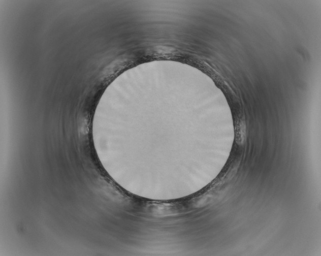 X0000110970472200907310933