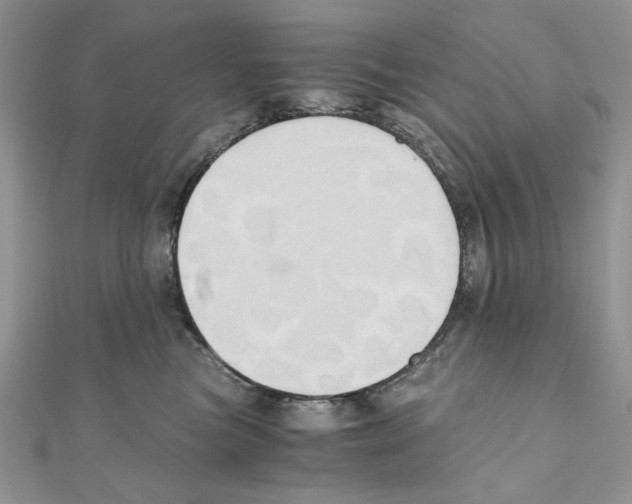 X0000110970473200907310933