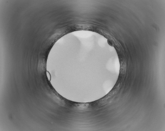 X0000110970474200907310933