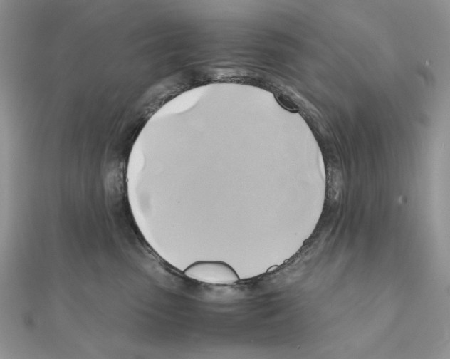 X0000110970475200907310933