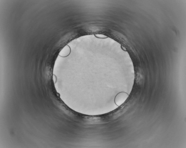 X0000110970476200907310933