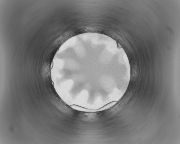 X0000110970478200907310933