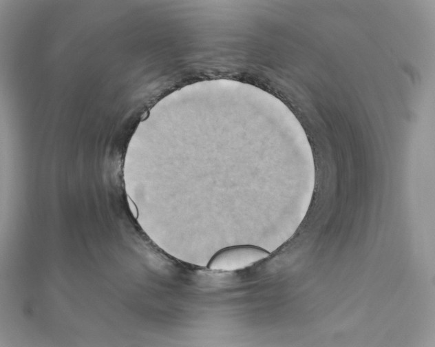 X0000110970480200907310933