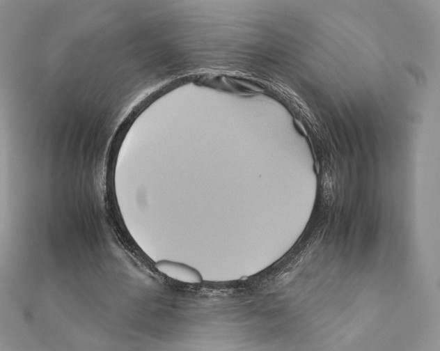 X0000110970484200907310932