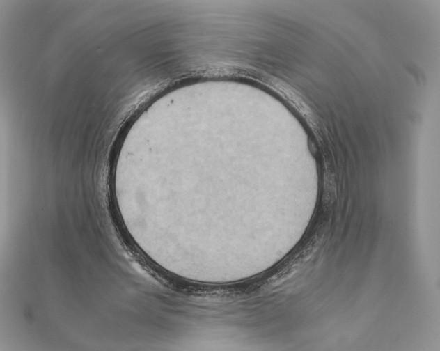 X0000110970485200907310932