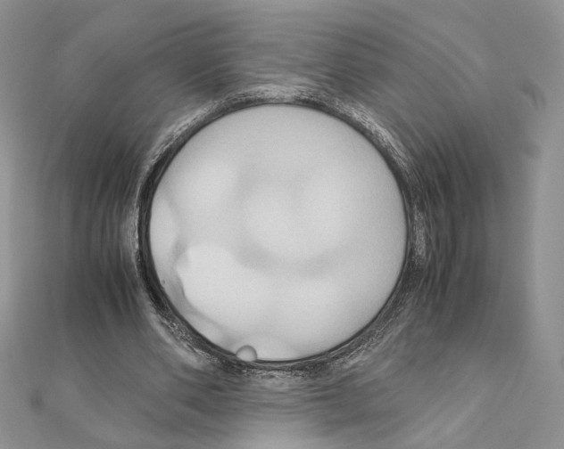 X0000110970486200907310932