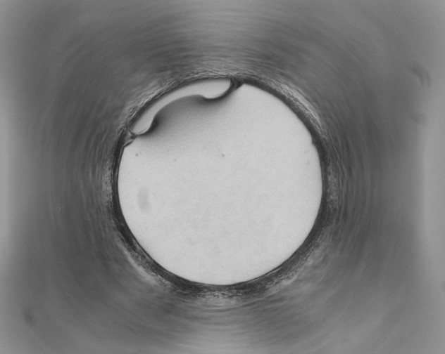 X0000110970489200907310932