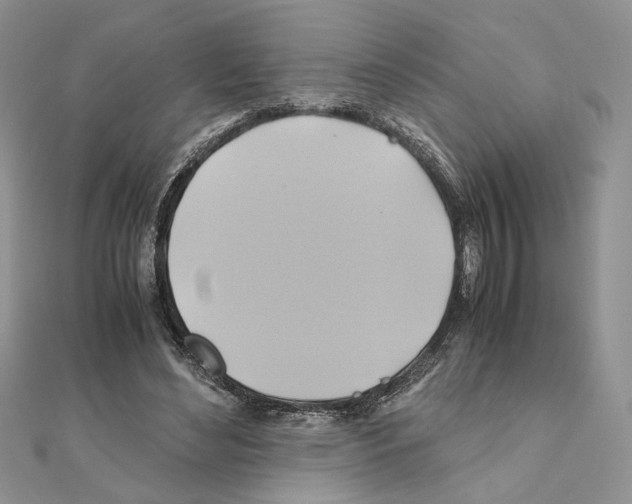 X0000110970492200907310932
