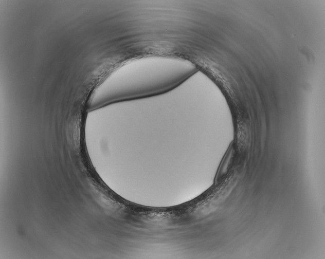 X0000110970493200907310932