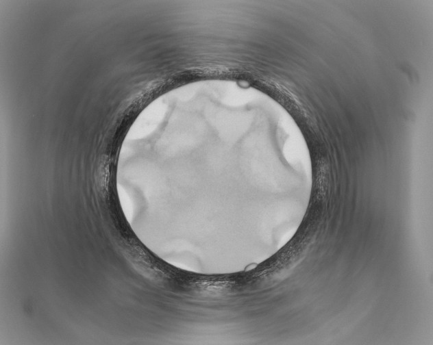 X0000110970495200907310932