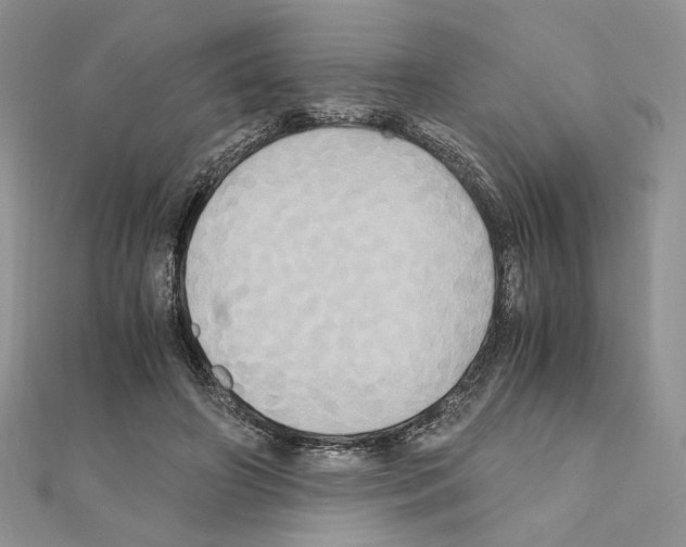 X0000110970498200907310932