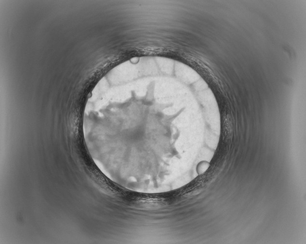 X0000110970499200907310932